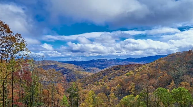 The Black Mountain Stomping Grounds