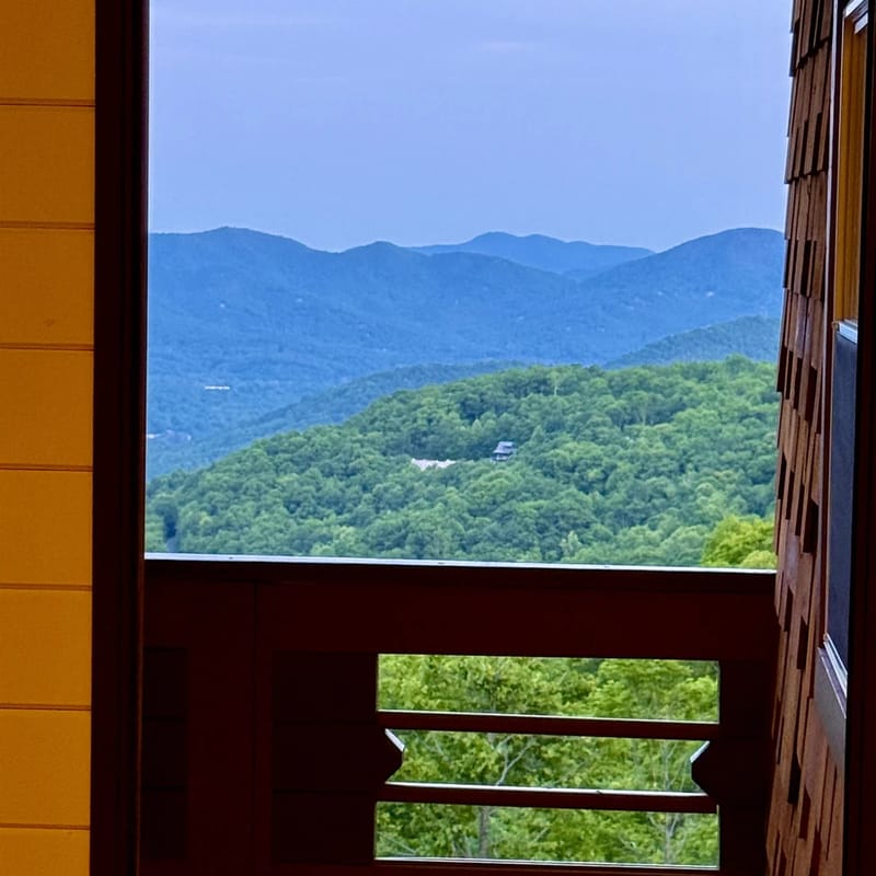 Shroom with a View